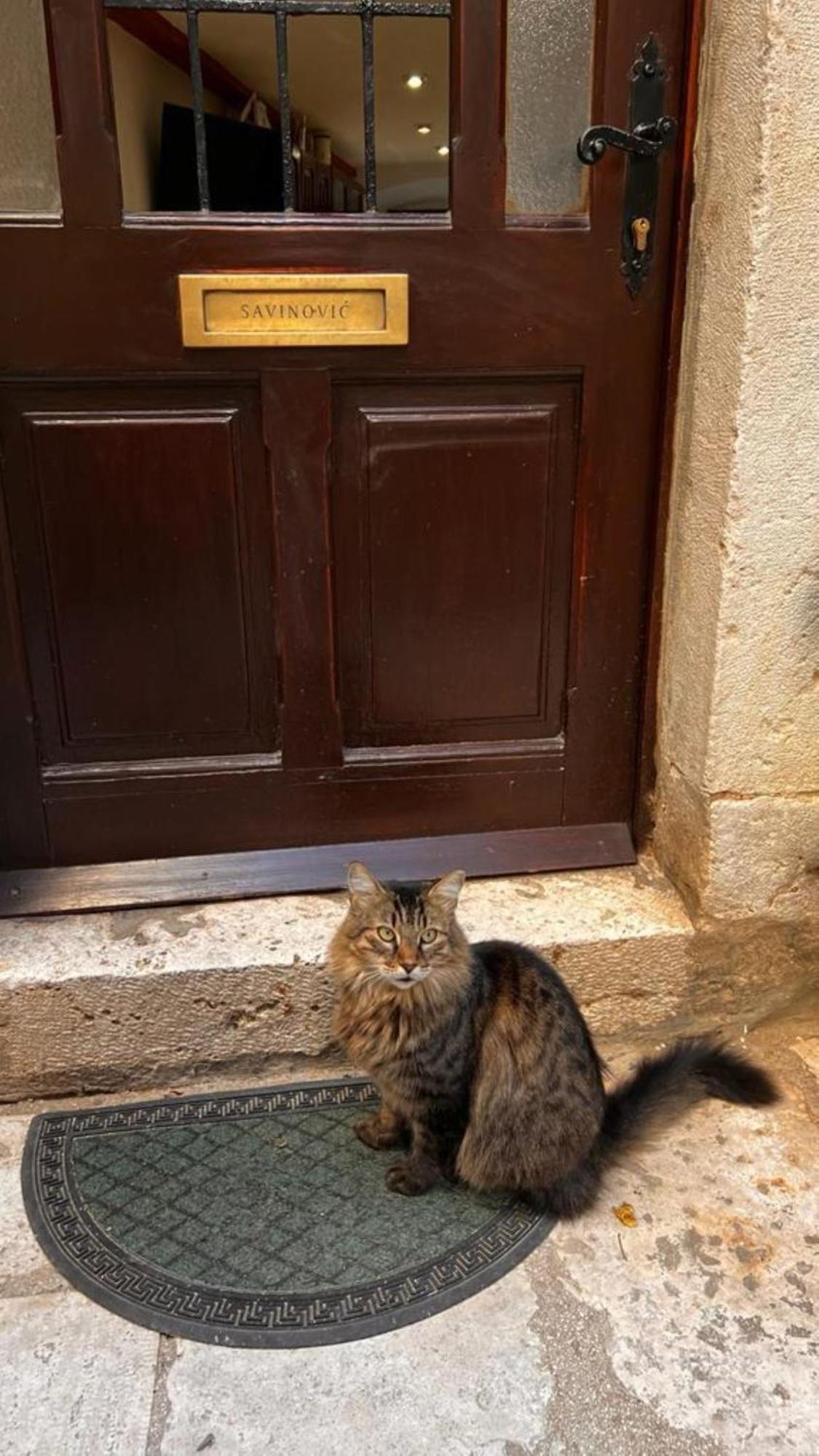 דוברובניק Crocant House מראה חיצוני תמונה
